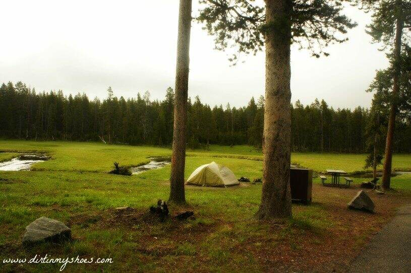 All About Camping in Yellowstone National Park