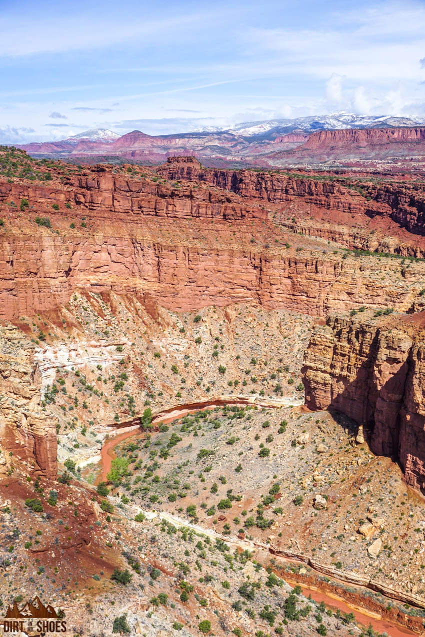 Goosenecks overlook 2024 capitol reef