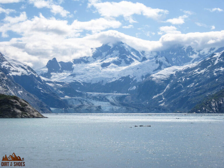 10 Things You Can T Miss On Your First Visit To Glacier Bay   Glacier Bay 2011 Johns Hopkins Glacier Opt 768x576 