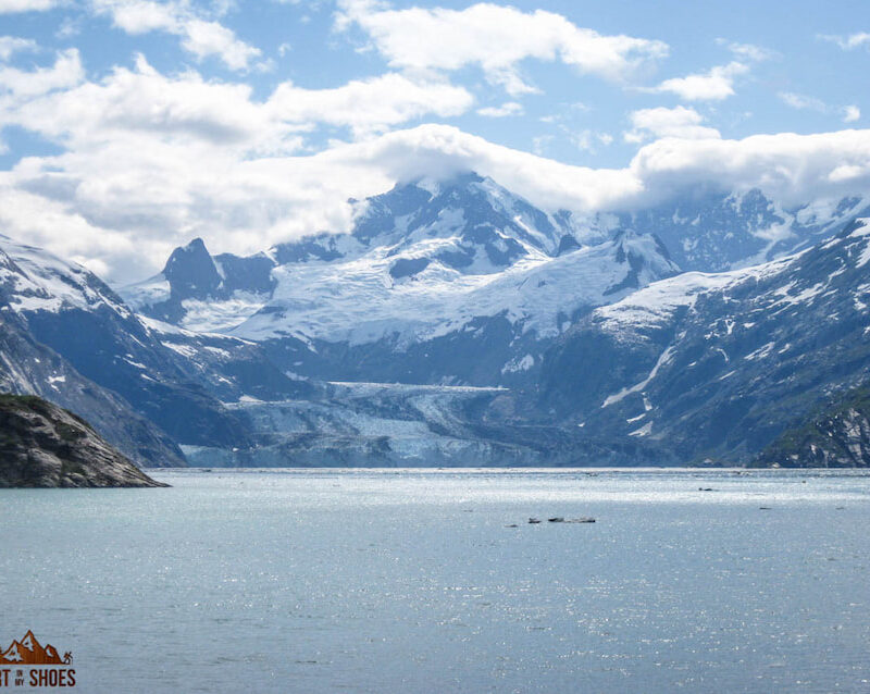 10 Things You Can't Miss on Your First Visit to Glacier Bay - Dirt In ...