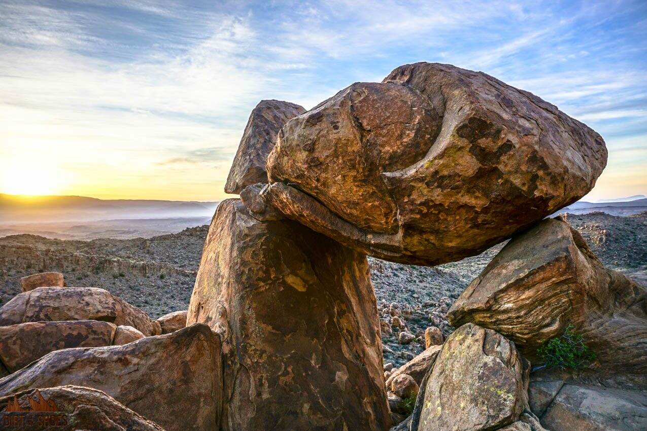 big bend national park dinosaurs