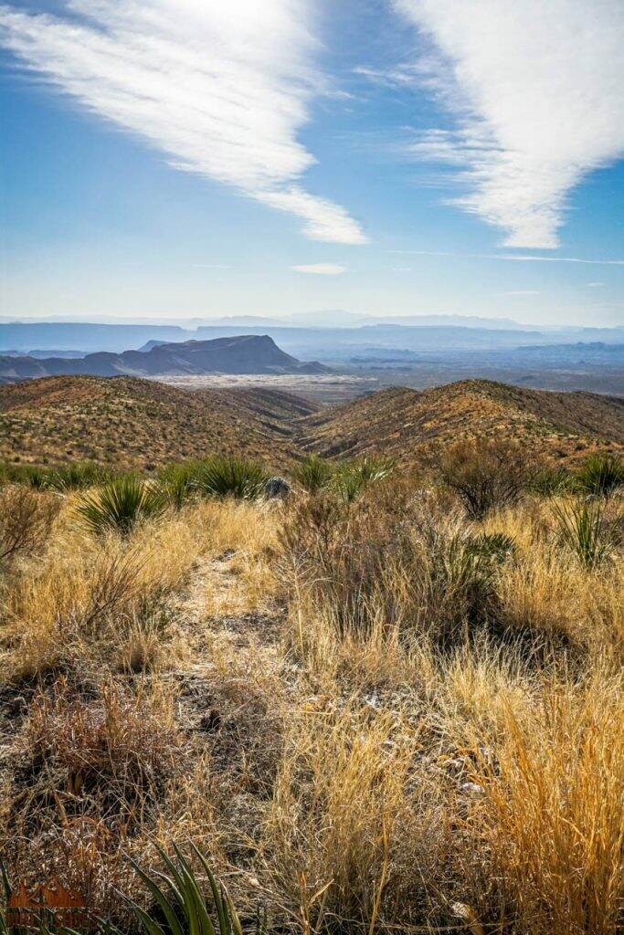 10 Things You Can't Miss On Your First Visit to Big Bend - Page 2 of 3