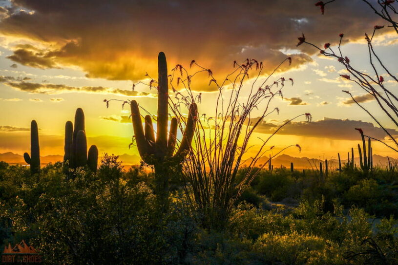 5 Things You Can't Miss On Your First Visit to Saguaro - Dirt In My Shoes