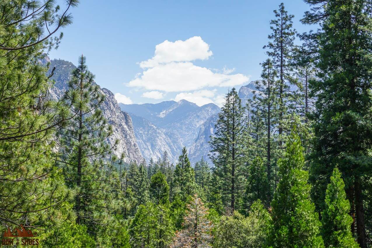 10 Things You Cant Miss On Your First Visit To Sequoia And Kings