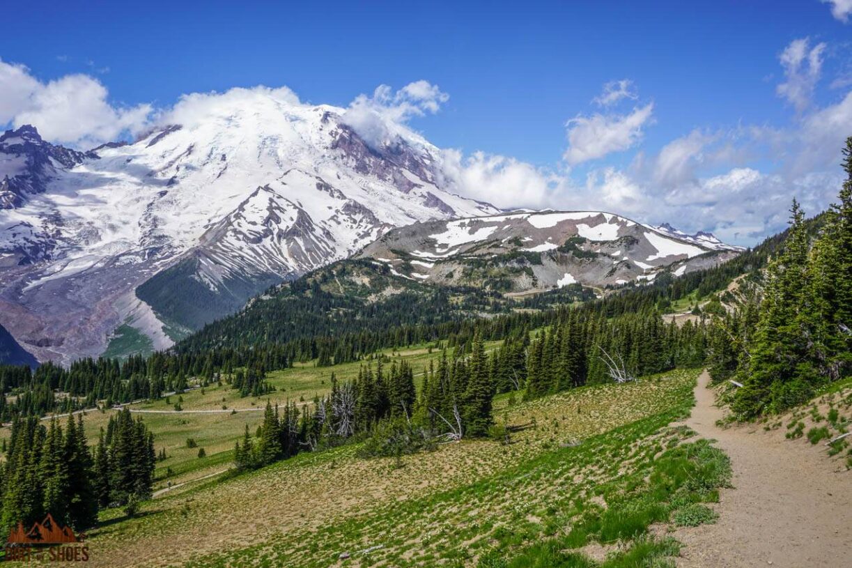 5 Fascinating Fun Facts About Mount Rainier National Park