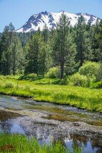 8 Things You Can't Miss On Your First Visit to Lassen Volcanic - Dirt In My  Shoes