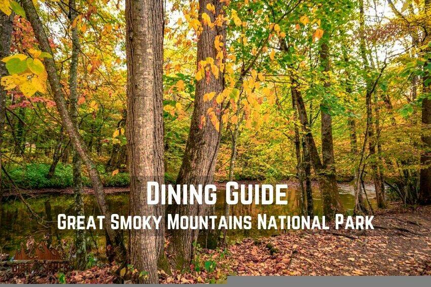 The Ultimate Guide To Great Smoky Mountains National Park Dirt In My