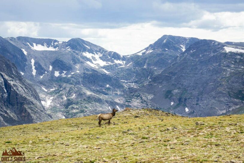 5 Things You Didn't Know About the Rocky Mountains