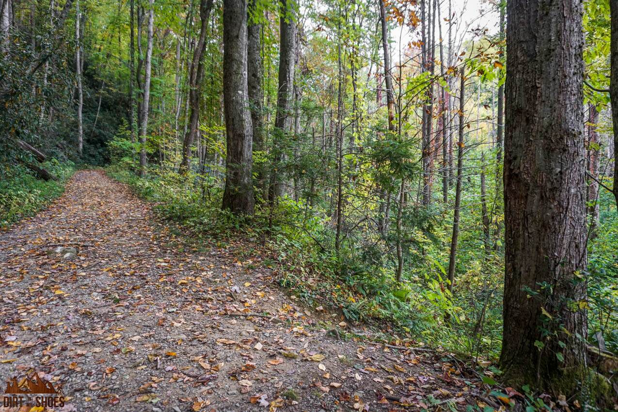 12 Things You Can't Miss on Your First Visit to the Great Smoky Mountains