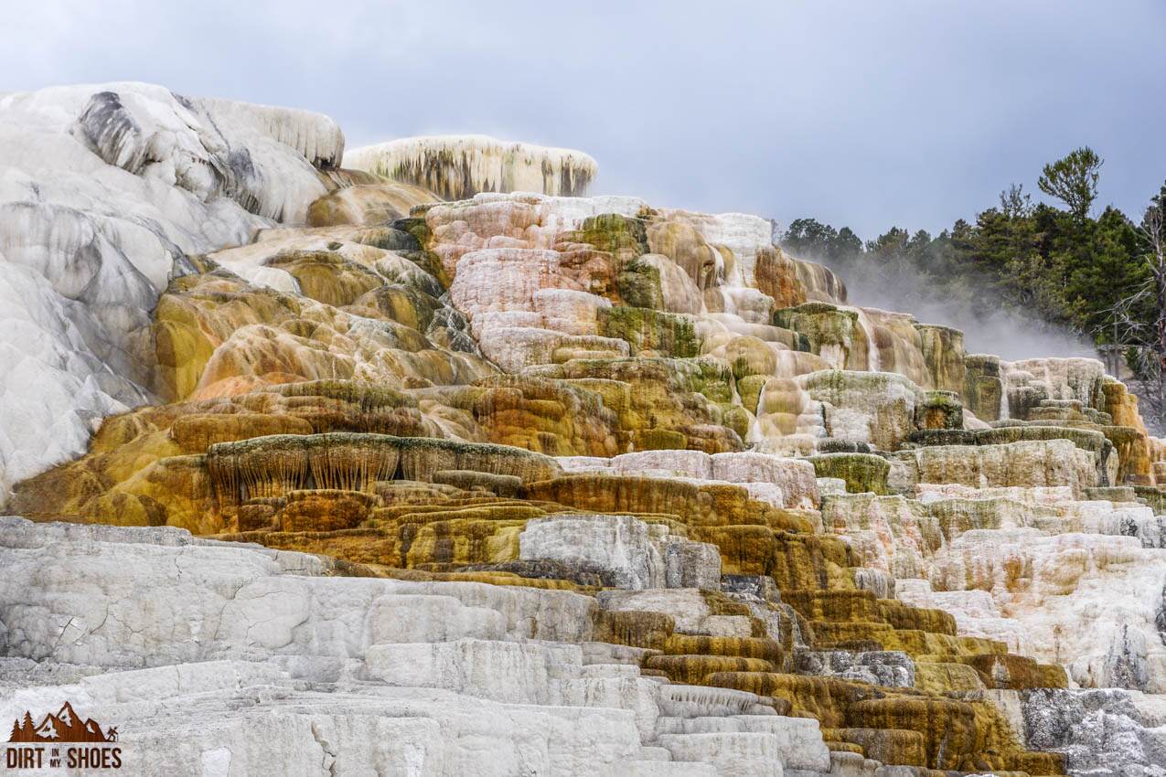 The Best Things to Do in Yellowstone National Park - Dirt In My Shoes