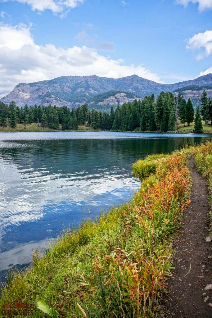 Easy hikes in 2024 yellowstone national park