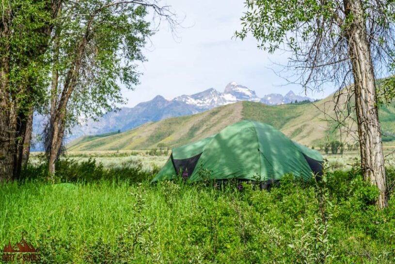 Gros Ventre Campground || Where Should I Stay While Visiting Grand Teton || Dirt In My Shoes