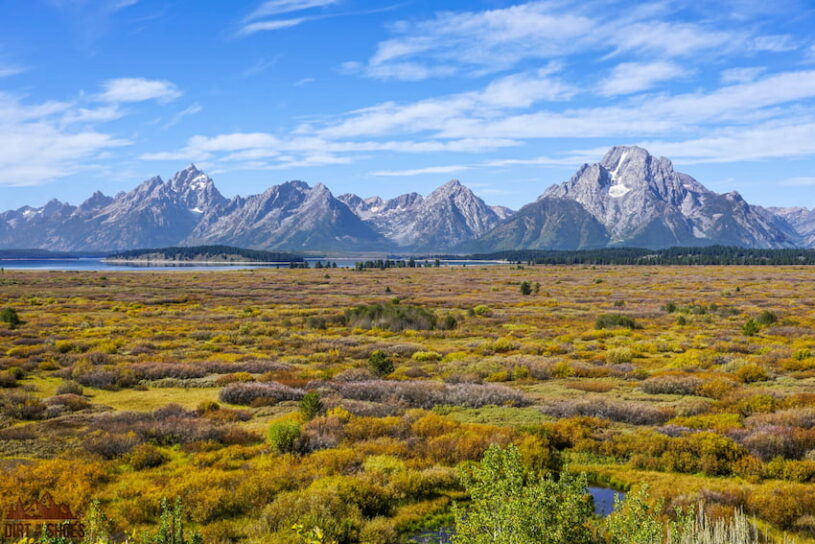 Moose Flats || The Best Things to Do In Grand Teton || Dirt In My Shoes