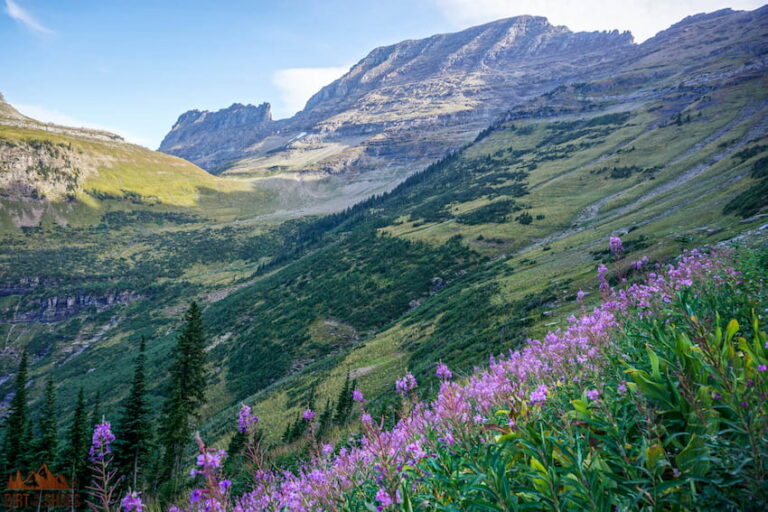 The Best Time to Visit Glacier National Park - Dirt In My Shoes