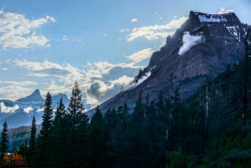 are dogs allowed in glacier national park