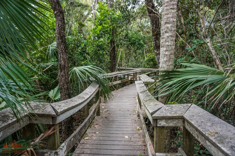 5 Best Short and Easy Hikes in Everglades National Park