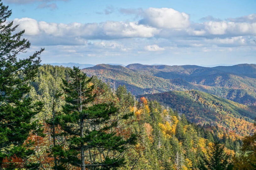 Best easy day hikes shop great smoky mountains national park