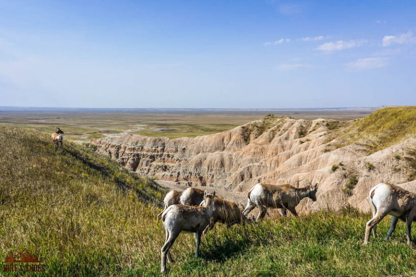 How Many Days Should I Spend in Badlands National Park? | Dirt In My Shoes