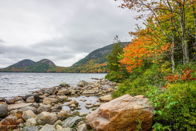 The Best Easy Hikes in Acadia National Park - Dirt In My Shoes