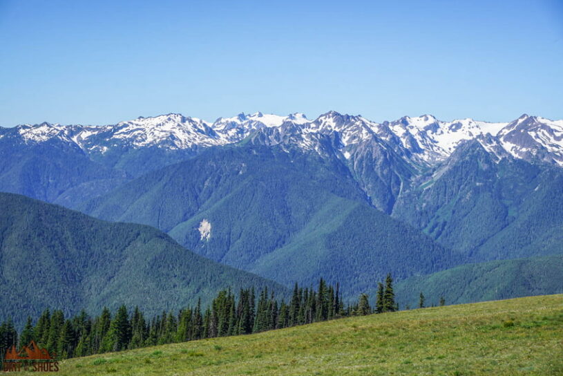 The Best Time To Visit Olympic National Park Dirt In My Shoes