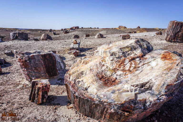 Arizona's National Parks: 3 Diverse Parks in the Grand Canyon State ...