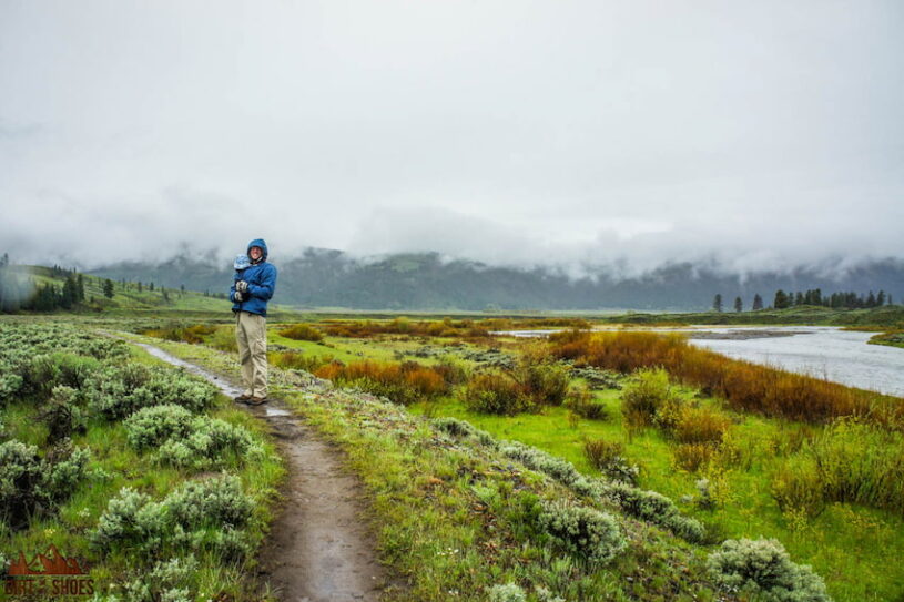 Best yellowstone hikes for wildlife best sale