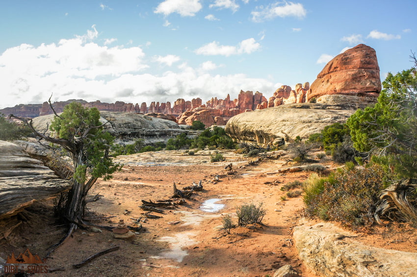 Druid Arch Trail at Canyonlands National Park | Dirt In My Shoes