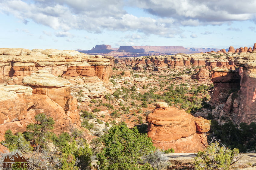 View of the Island in the Sky District from the Druid Arch Trail | Canyonlands National Park | Dirt In My Shoes