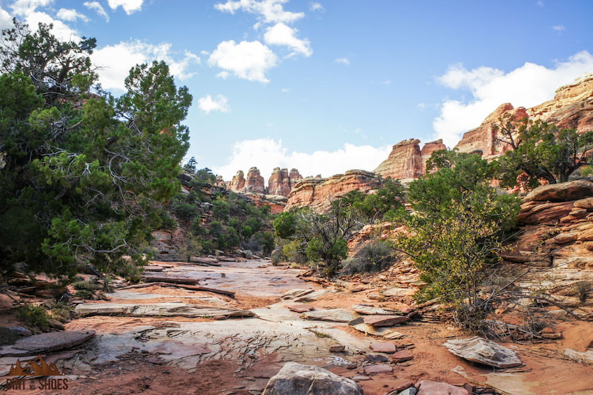 Druid Arch Trail in Canyonlands National Park | Dirt In My Shoes