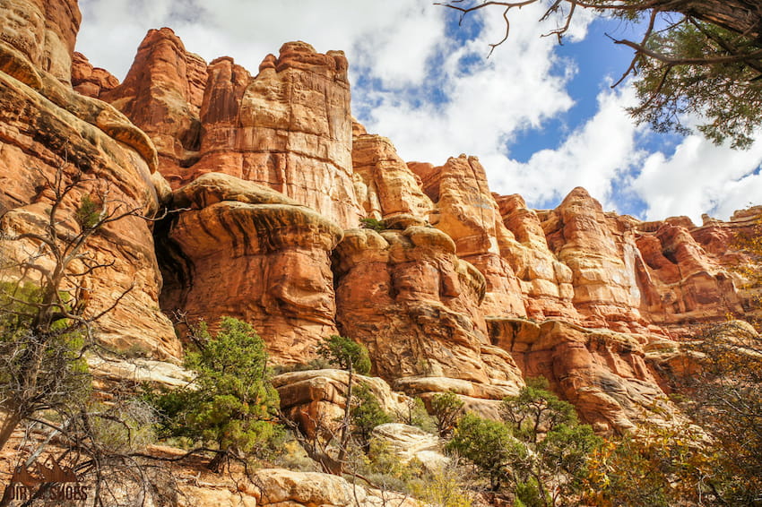 Druid Arch Trail in Canyonlands National Park | Dirt In My Shoes