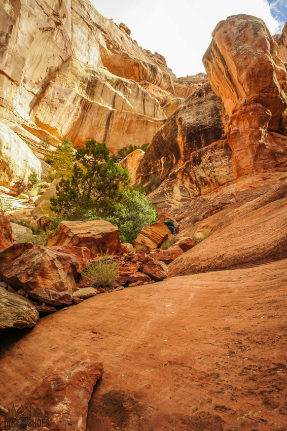 Obstacle 5 on the Druid Arch Trail in Canyonlands National Park | Dirt In My Shoes